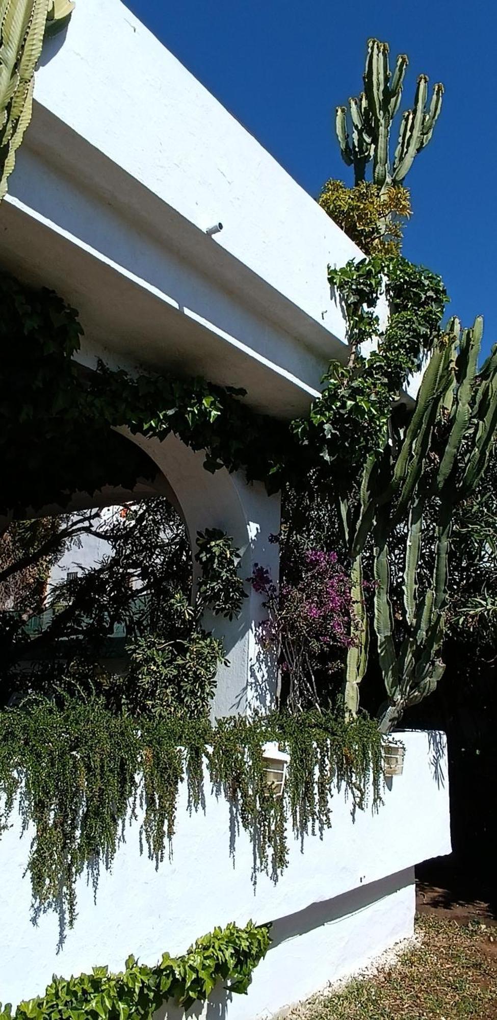 Villa Tortuga Marbella Buitenkant foto