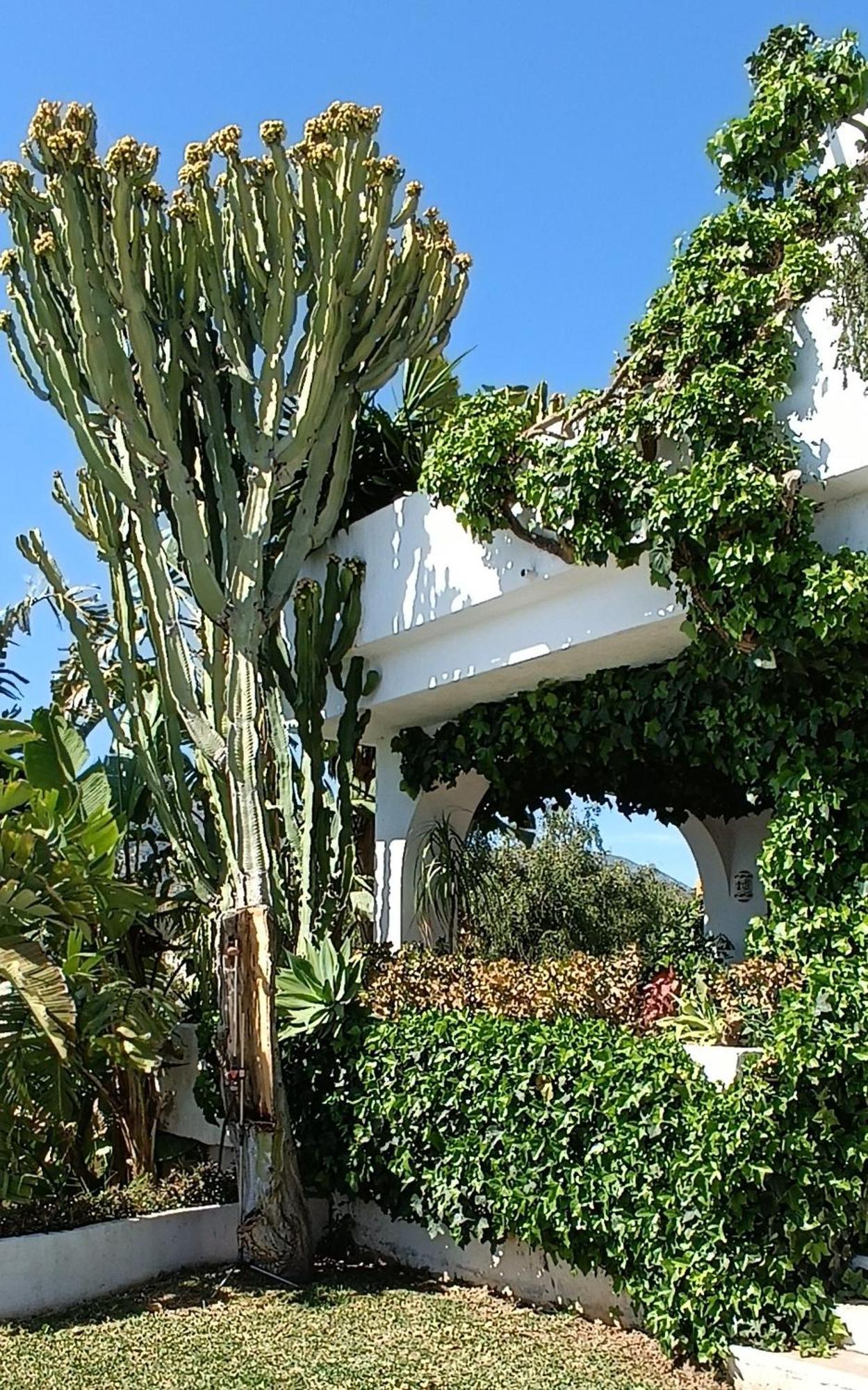 Villa Tortuga Marbella Buitenkant foto